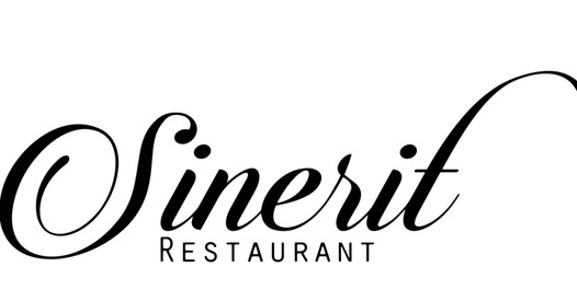 Sinerit Logo